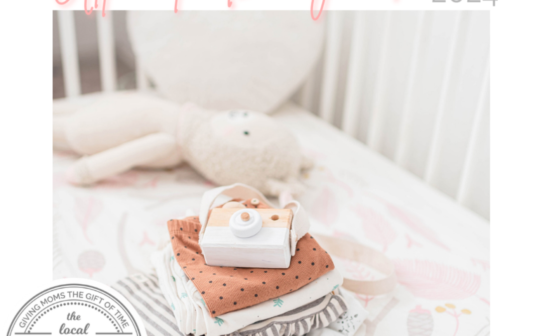 The Local Moms Network Ultimate Baby Guide 2024
