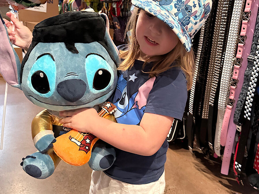 Stitch Hunt at Crossgates Mall