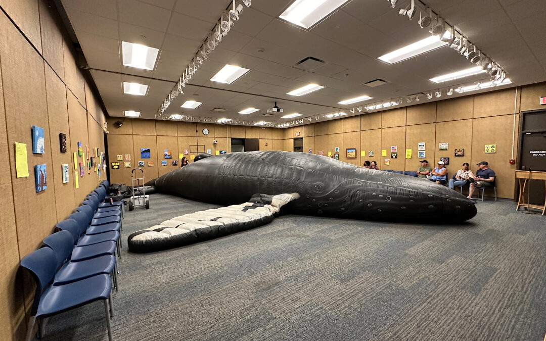 The Whalemobile
