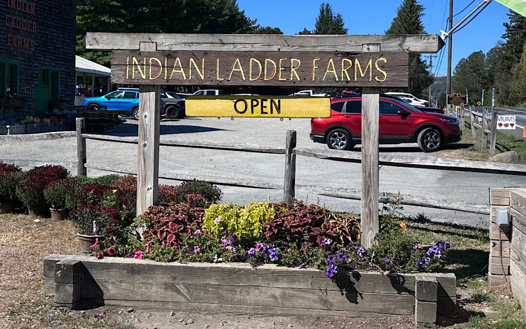 $10 off at Indian Ladder Farms