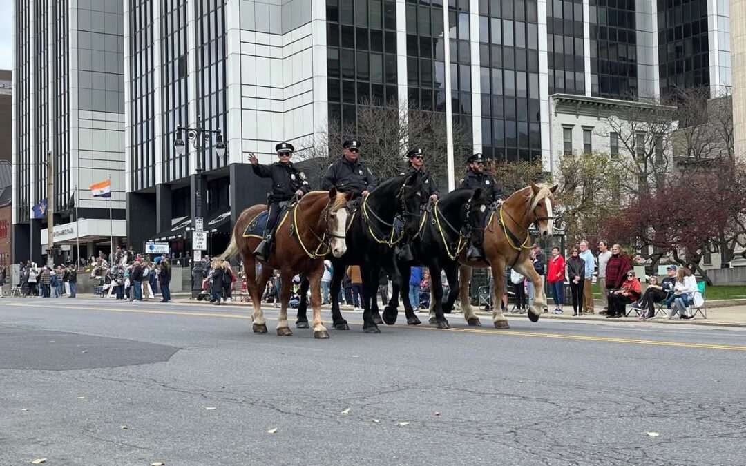 Events on Veterans Day (Tuesday, November 11, 2025)